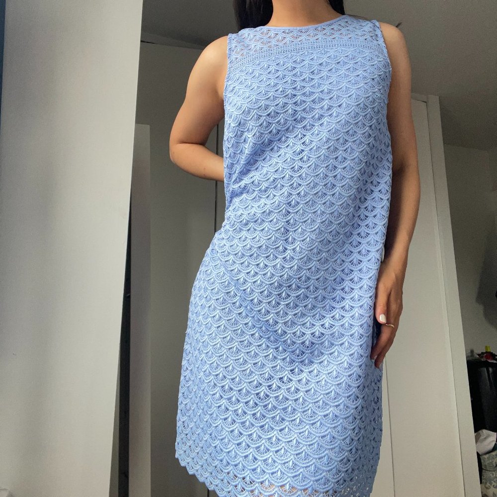 Loft Petite Baby Blue Shift Dress TAGS ON, Size 4P